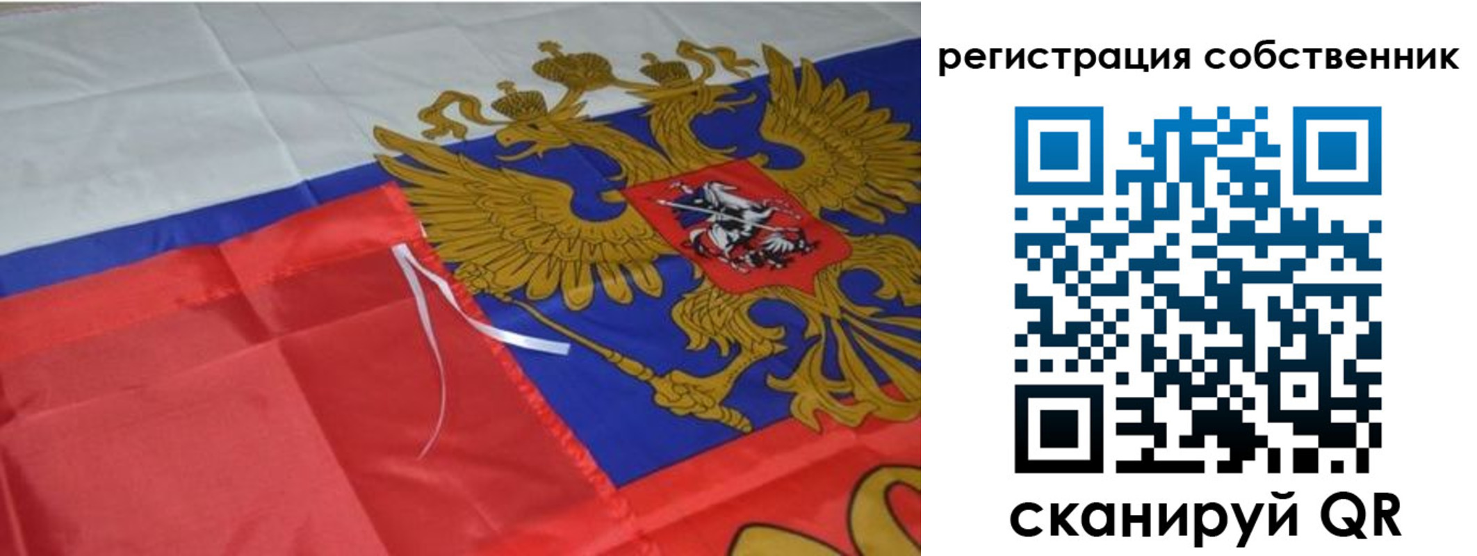 прописка законно в Павловске